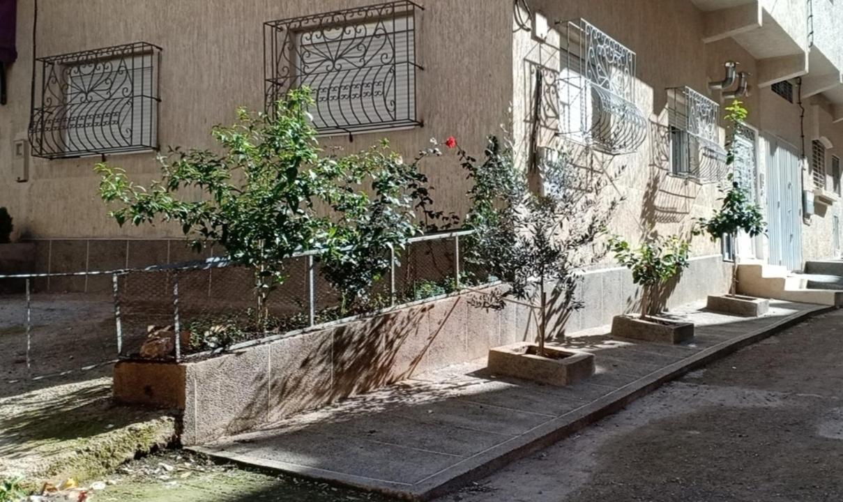 L'Art Chez Omar Διαμέρισμα Azrou Εξωτερικό φωτογραφία